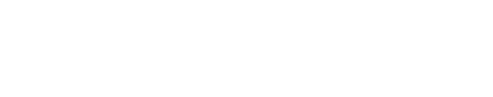 Elevate Ventures